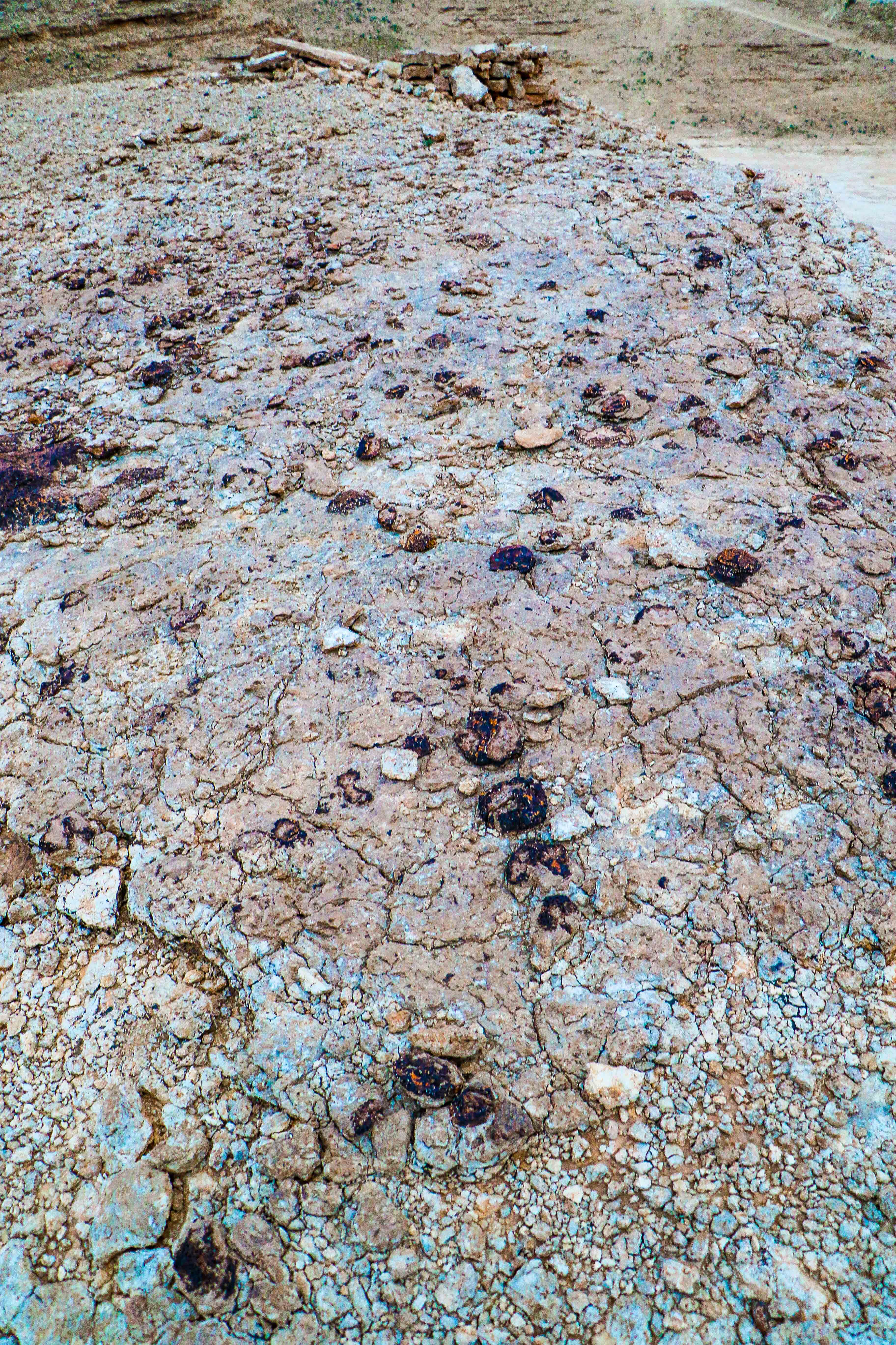 Fossils of corals on the way to Edge of the World (photo: Florent Egal)