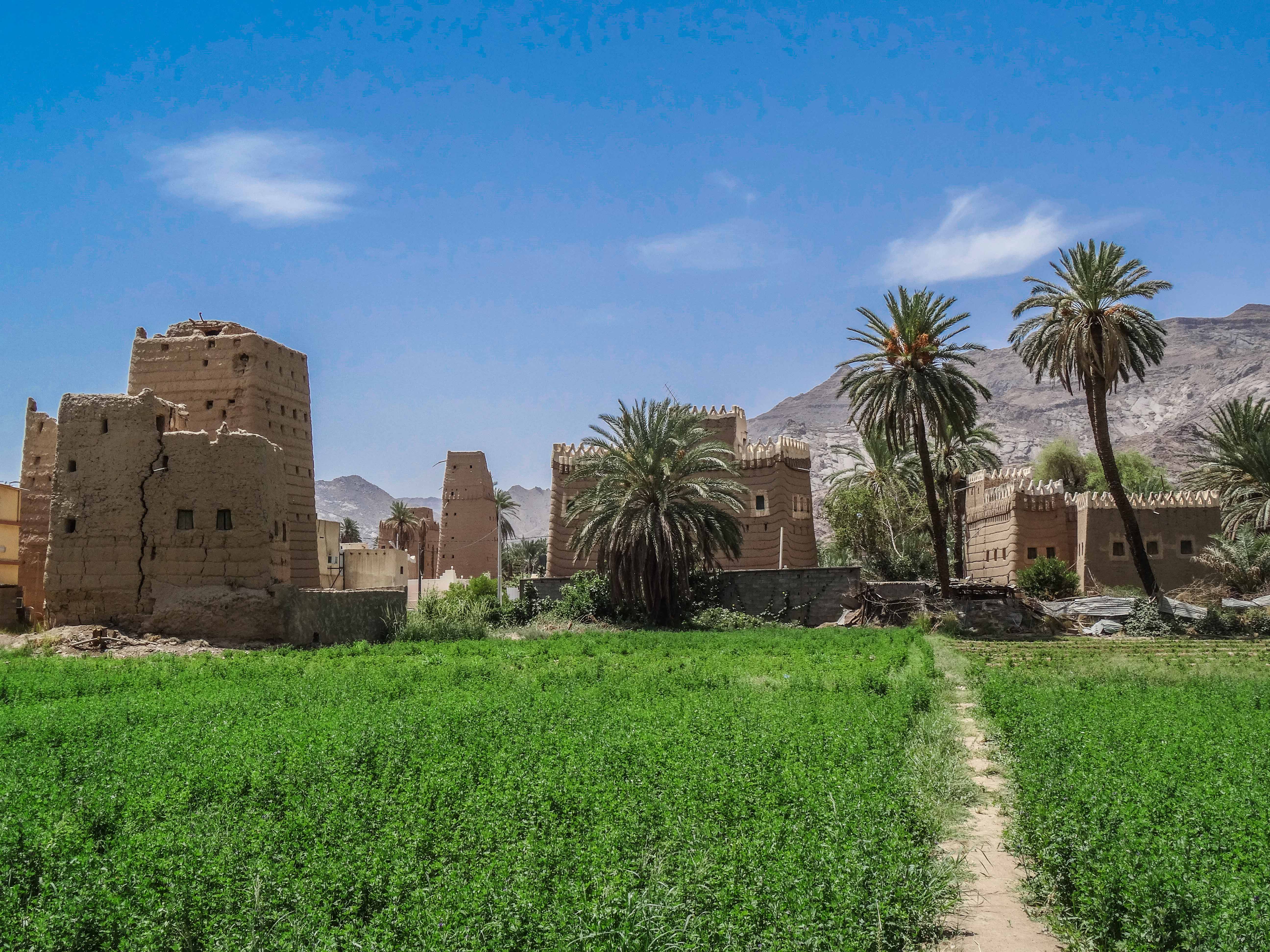 Najran Province Archives - Saudi Arabia Tourism Guide